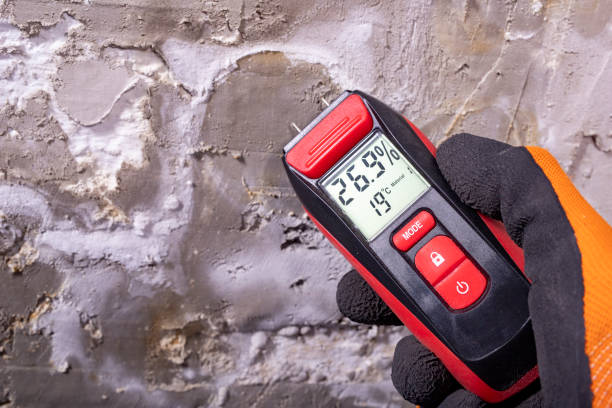 Home Mold Removal in Beaver Creek, TX