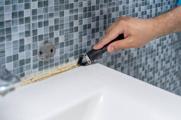 Best Local Mold Removal Service  in Beaver Creek, TX